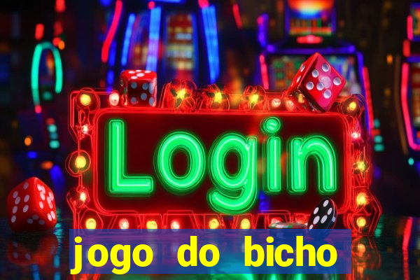 jogo do bicho crash bingo